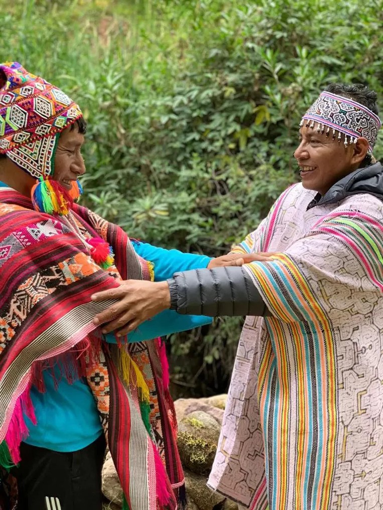ayahuasca medical guidelines for beginners